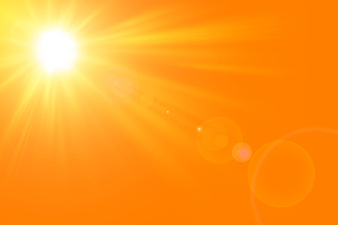 Vitamin D – Warum du mehr brauchst, als dir gesagt wird