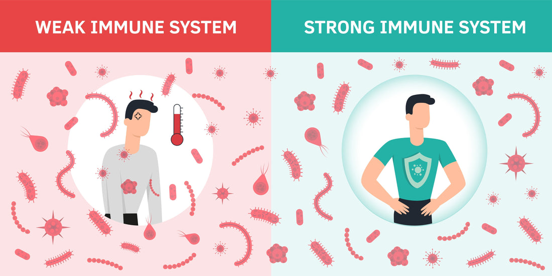 Kolostrum – die Urkraft der Natur