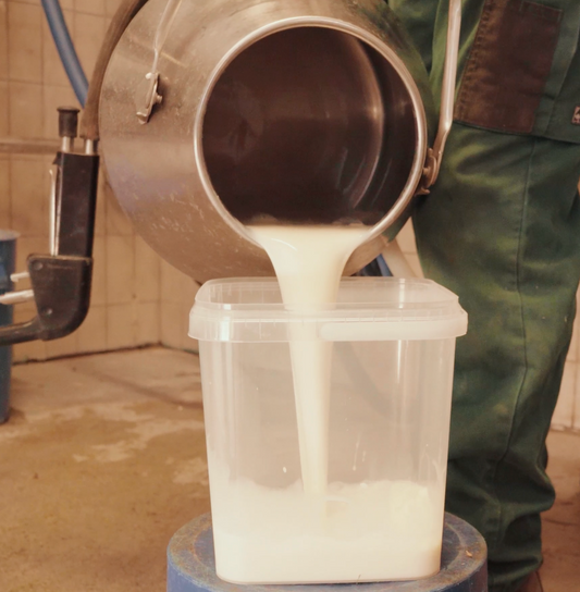 Rohmilch – das unterschätzte Original