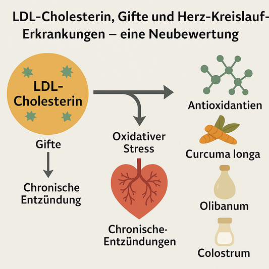 LDL-Cholesterin, Gifte und Herz-Kreislauf-Erkrankungen – eine Neubewertung